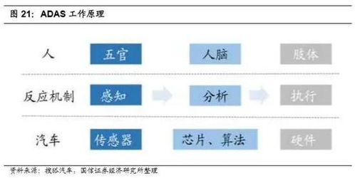 国信证券 重塑产品价值链 软件定义汽车成未来趋势