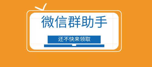 借助微信机器人助手,2000 的微信群也能高效管理运营