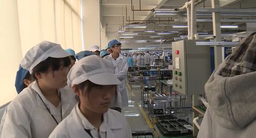 90后电子厂打工真实记录,只有像机器人一样活着才不会累