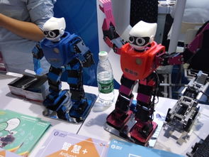 炎热夏季 2019北京机器人展燃爆全场